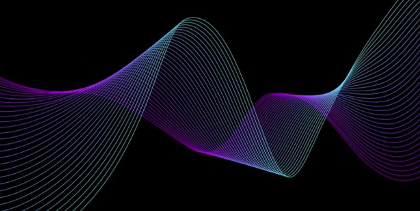 AMS : Au cœur du Sénégal, entre tradition et modernité